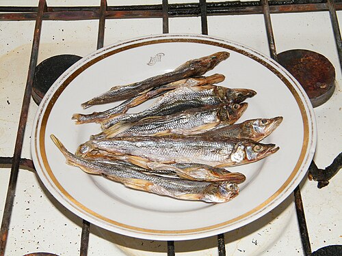 Rainbow Smelt (Osmerus mordax)